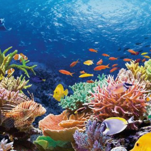 Meet your Posher, Tanisha - Picture 1 of 1